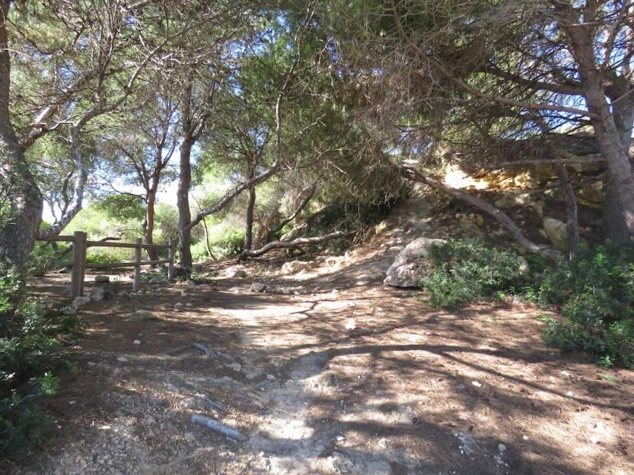 Coqueto Alojamiento Con Banera De Hidromasaje Apartment Tarragona Ngoại thất bức ảnh